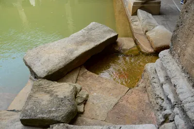 DSC_2650 (Large).JPG